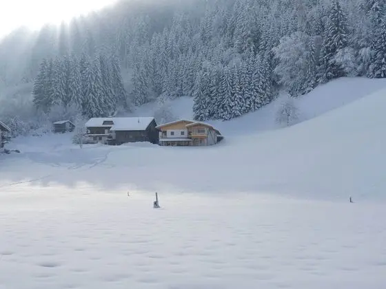 Luxurious Apartment in Kaltenbach Near Ski Area - Dış Mekan