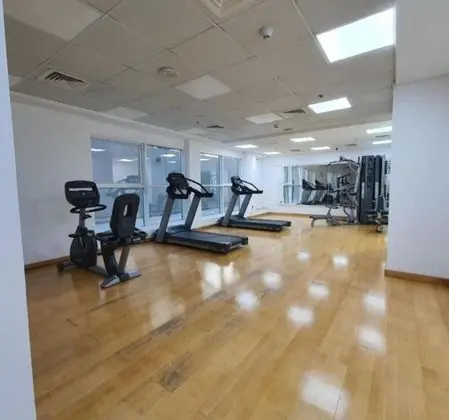 Luxurious Apartment Near Dubai Downtown, UAE - Fitness