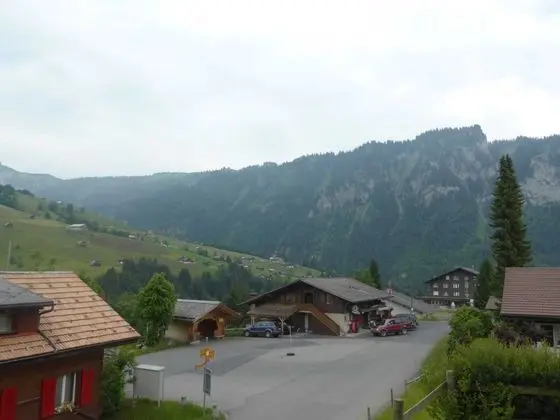 Luxurious Chalet in Habkern With Private Garden - Dış Mekan