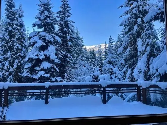 Luxury 5 Bedroom Blueberry Chalet
