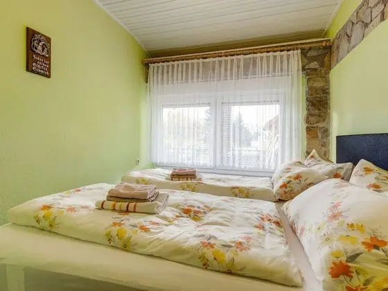 Luxury Apartment in Schleusingen Thuringia near Lake - Oda