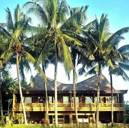 Luxury Bamboo Hostel