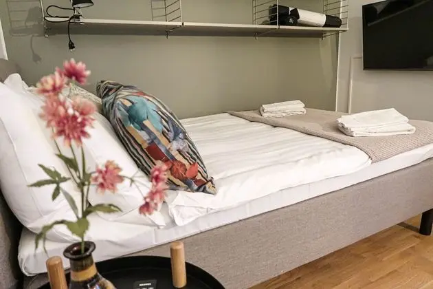 Luxury Business Studio Apartment Street View - Cityliving Umami