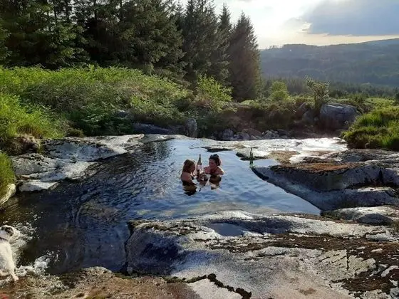 Luxury Cabin in Galloway Forest Park - Havuz