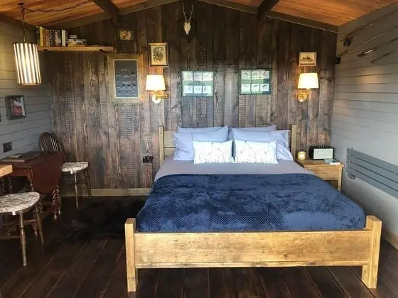 Luxury Cabin in Galloway Forest Park - Oda