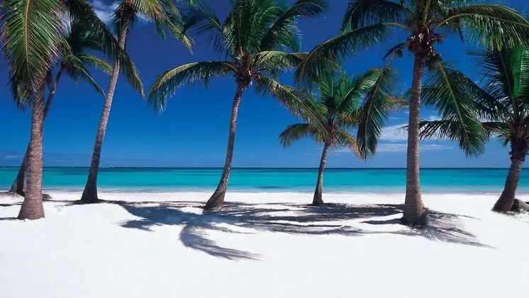Luxury Cap Cana Apartment - Plaj