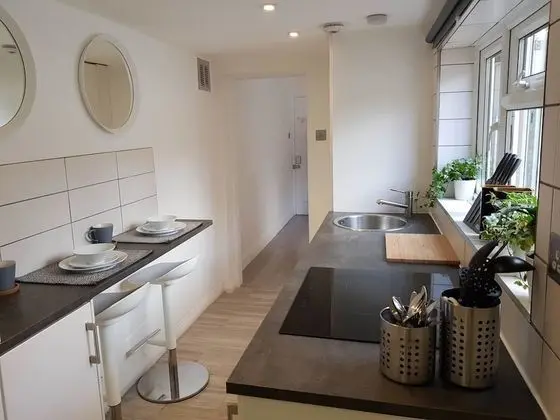 Luxury Central Apartment 4 guests - Mutfak