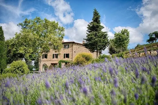 Luxury Chianti With two Bedrooms