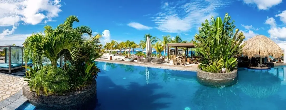 Luxury Delfins Villas - Havuz