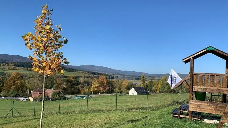 Luxury Villa in Extensive Grounds on Lipno Lake - Dış Mekan