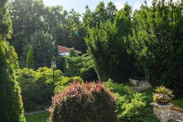 Luxury Green Oasis Villa With Pool! - Dış Mekan