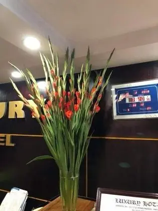 Luxury Hotel Hai Phong - Lobi