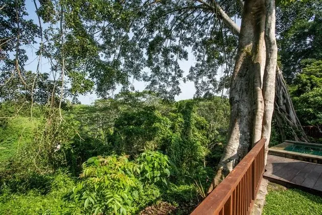 Luxury Jungle Villa, 3 BR, Ubud With Staff - Dış Mekan