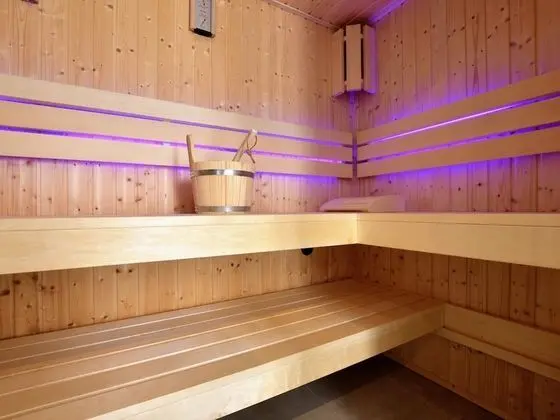 Luxury Villa in Megchelen With Sauna - Spa