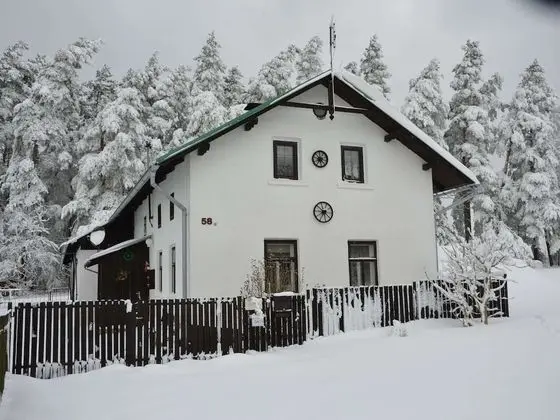 Luxury Villa near Forest in Hlavice Czech Republic - Dış Mekan