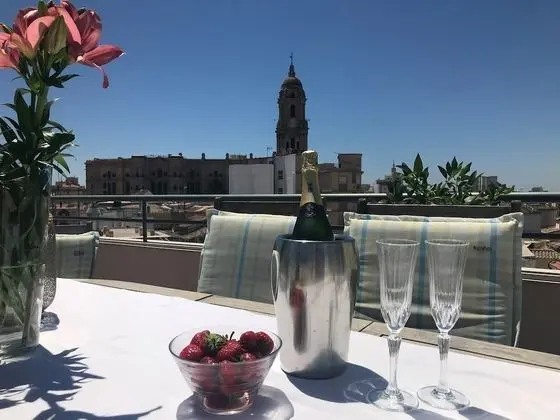 Luxury Penthouse Historical Center