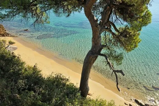 Luxury Villas Skiathos - Plaj