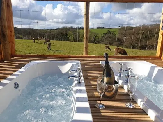 Luxury Safari Lodge Surrounded by Deer!! 'fallow' - Spa