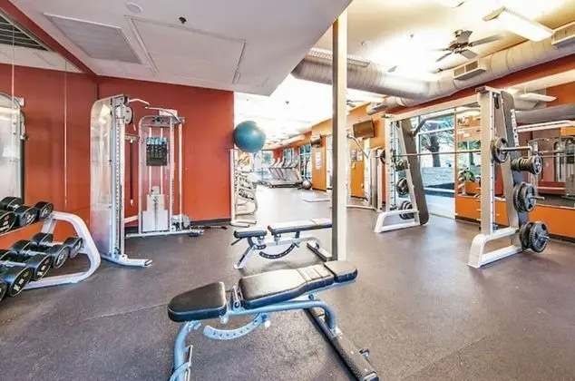 Luxury Style Retreat The Domain - Fitness