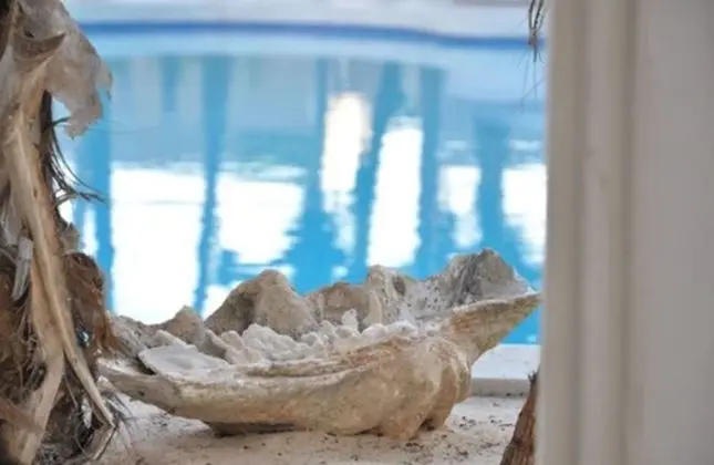 The Villa Luxury Suites Hotel - Spa