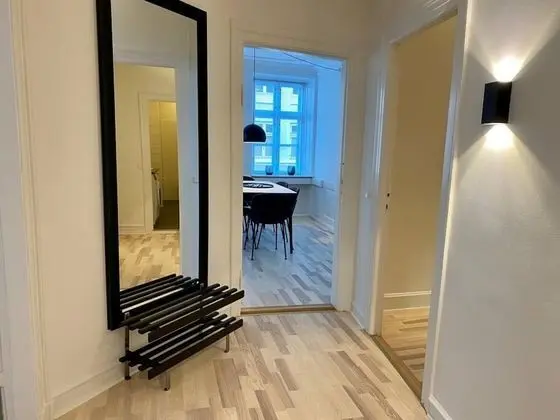 Luxury Tivoli Apt Scandinavian Design Heart of CPH - İç Mekan