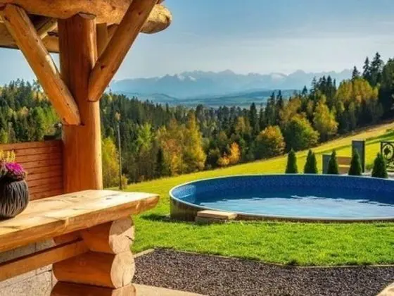 Luxury Villa with View of Tatra Mountains, Sauna, Hot Tub, Swimming Pool - Havuz