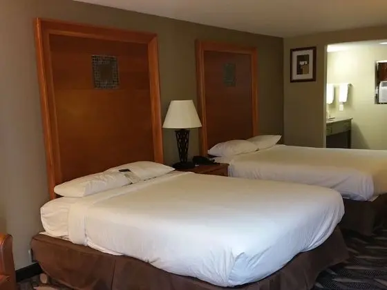Motel 6 Snyder, TX - Oda Düzeni