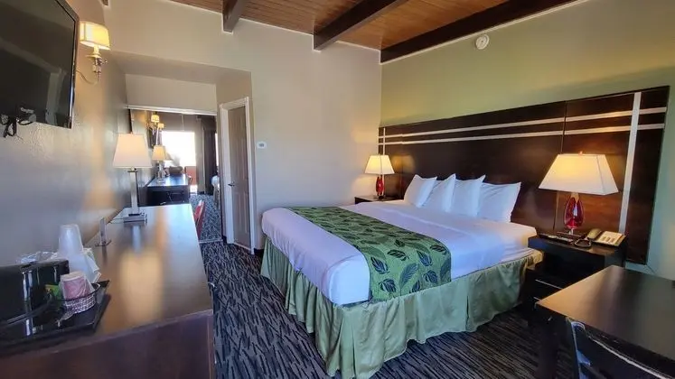 Motel Capri - Öne Çıkan Resim