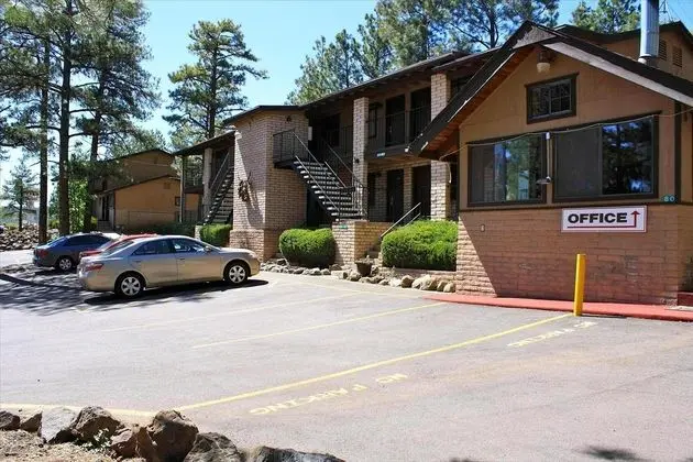 Motel In The Pines