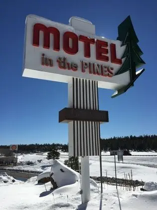 Motel In The Pines - Genel