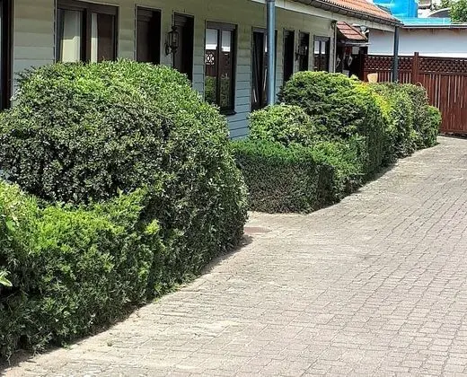 Motel Zur goldenen Krone