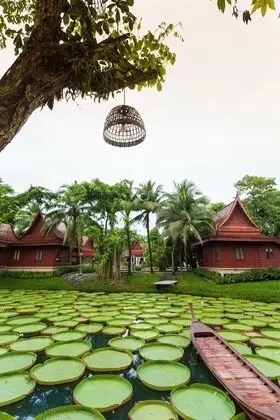 Ma Doo Bua Phuket (มาดูบัวภูเก็ต) - Dış Mekan