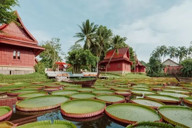 Ma Doo Bua Phuket (มาดูบัวภูเก็ต) - Dış Mekan