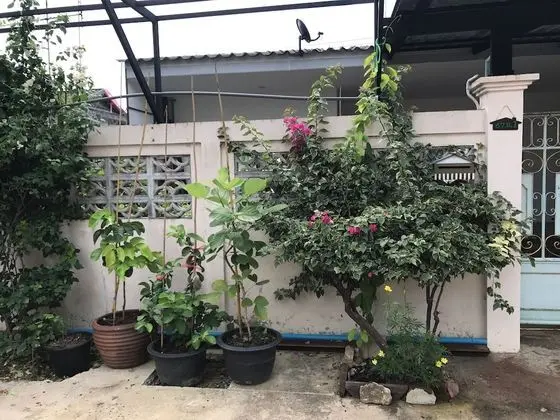 Maa Damnoen B&B - Dış Mekan