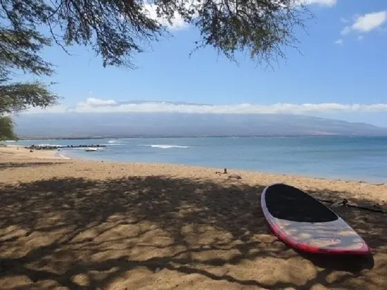 Maalaea Kai 316 1 Bedroom Condo by Redawning - Plaj