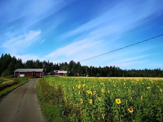 Maatilamatkailu Ilomäki