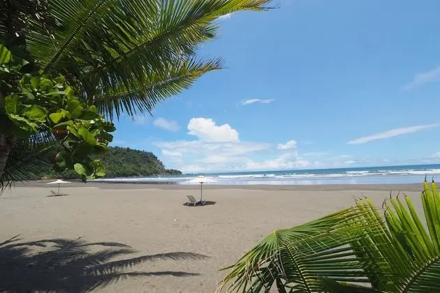 Macaws Ocean Club - Plaj
