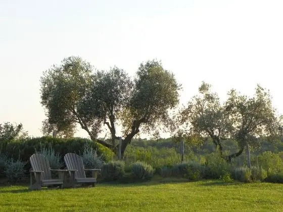 Macchiabuia