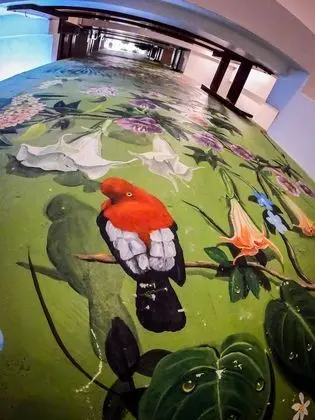 Machu Picchu Adventure House - İç Mekan
