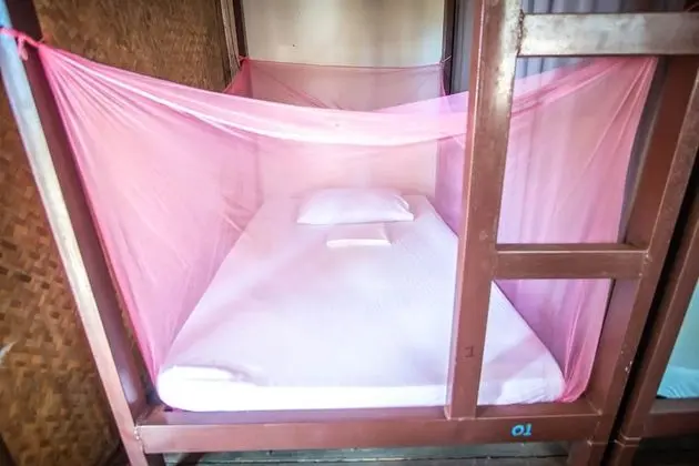 Mad Monkey Hostel Nacpan Beach - Adults Only - Oda