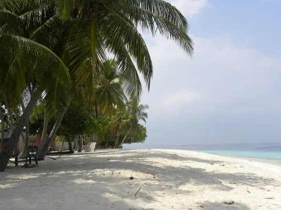 Madi Finolhu Guesthouse - Plaj