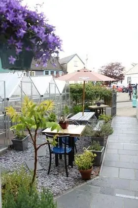 Madtom Seafood Cafe Bar With Rooms - Dış Mekanlar