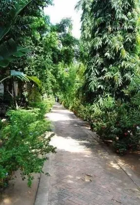 Magic Resort - Dış Mekan