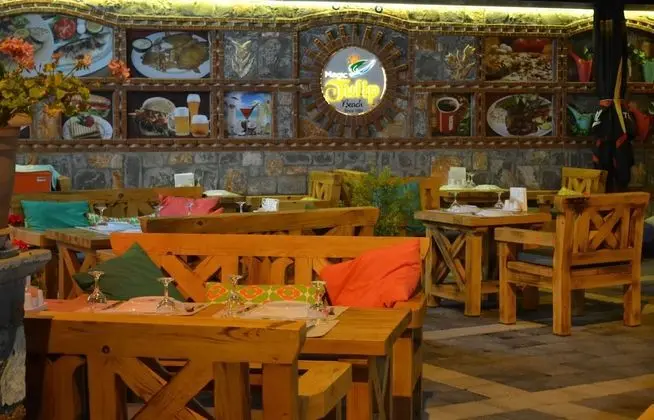 Magic Tulip Beach Hotel - Havuz