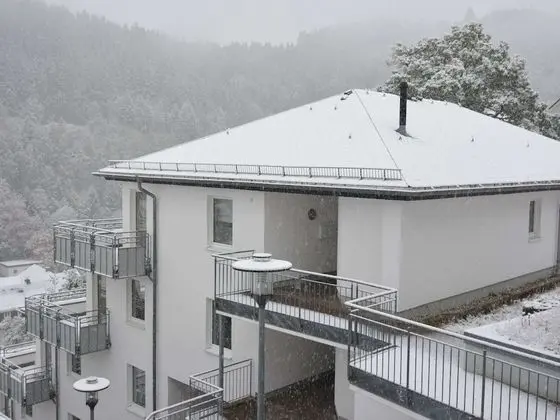 Magnificent Apartment in Willingen With Balcony