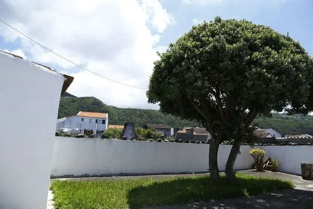 Magnólia