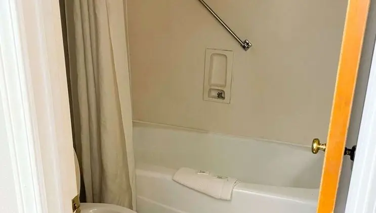 Magnuson Hotel Marietta - Banyo Tipleri
