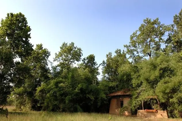 Mahua Kothi, Bandhavgarh National Park - Dış Mekan