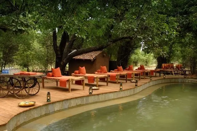 Mahua Kothi, Bandhavgarh National Park - Havuz