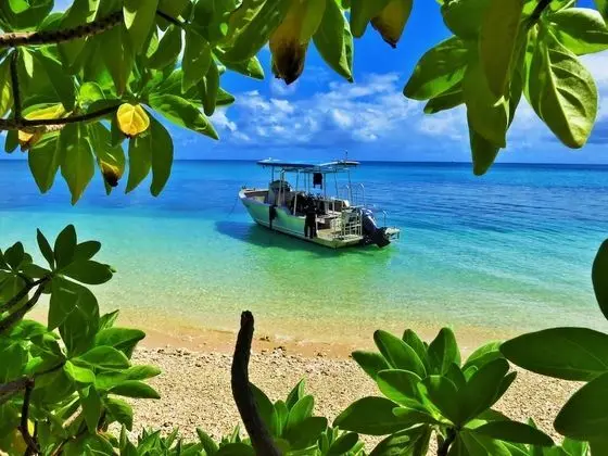 Mai Dive Astrolabe Reef Resort